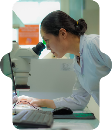 Animal nutritionist viewing on a microscope