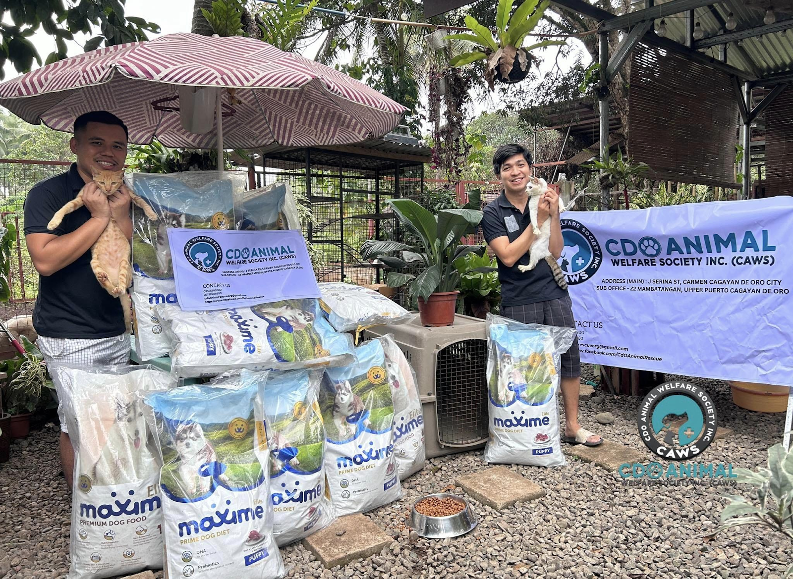 Bayanihan Spirit in Action: Pilmico and Animal shelters extend a helping paw