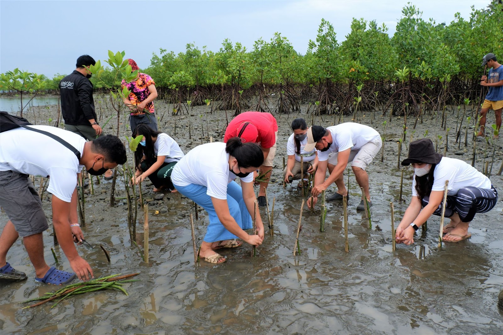 Pilmico holds monthlong tree planting activities for World Environment